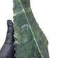 1.027kg - B Grade - Nephrite Rough
