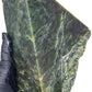 3.344kg - C Grade - Nephrite Rough