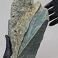 4.413kg - B+ Grade - Nephrite Rough
